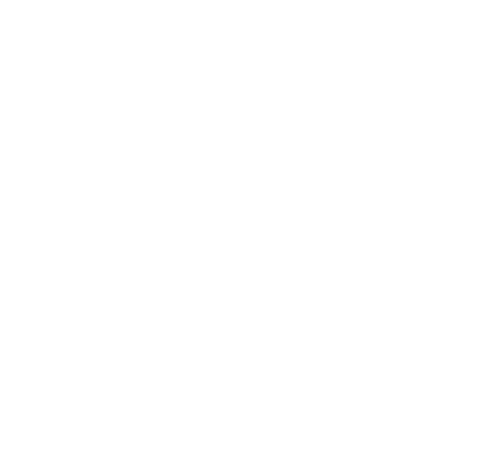 Nande Franja logo